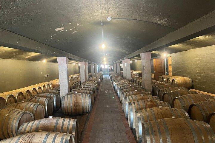Cape Winelands a Stellenbosch e Franschhoek Degustazione di vini