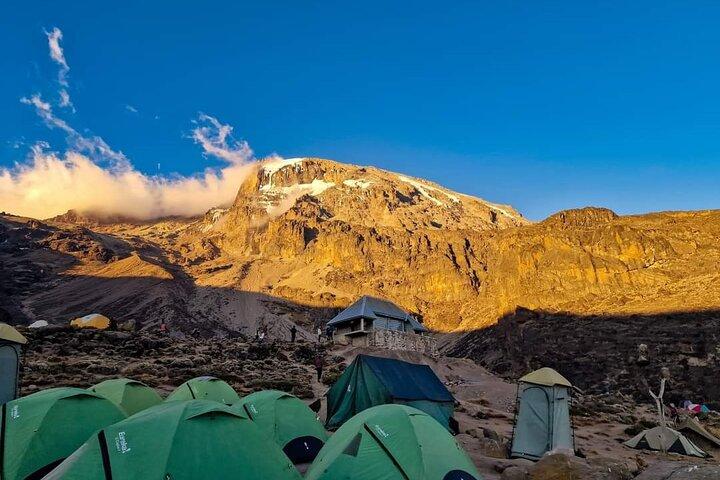 8 dage Kilimanjaro Trek Machame Route