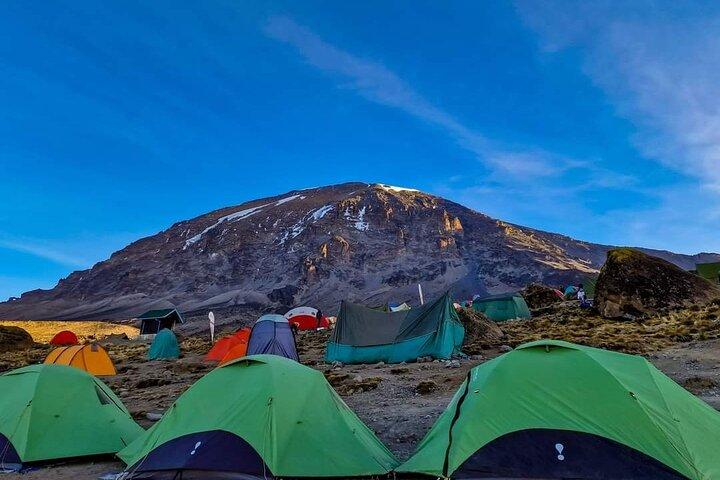 8 dage Kilimanjaro Trek Machame Route