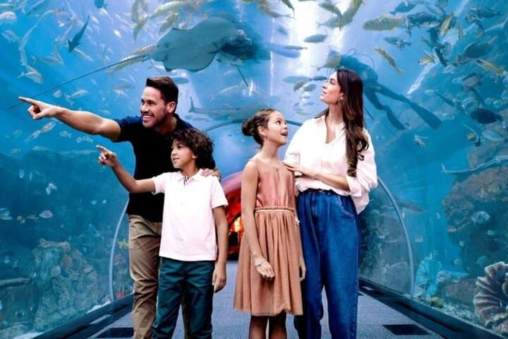 Dubai Aquarium And Underwater Zoo