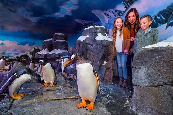 Dubai Aquarium And Underwater Zoo