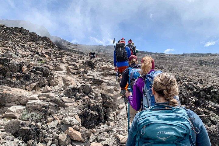 Hoteller i nærheden af Mount Kilimanjaro Full Day Hike - Mandara