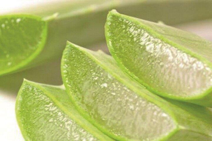 Sommets de Gran Canaria en minibus : Firgas, Teror, Aloe Vera et plus