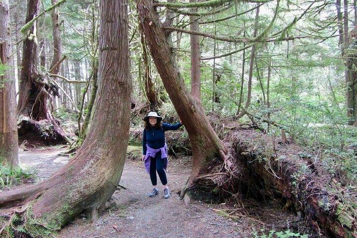 Enchanted Southern Vancouver Island Day Trip – privat tur