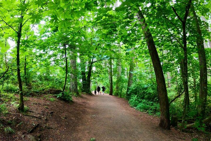 Enchanted Southern Vancouver Island Day Trip – privat tur
