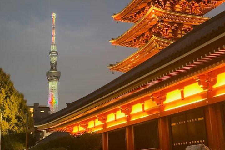 Tokyo: Privat flygplatstransfer i en lyxig SUV med Meet & Greet