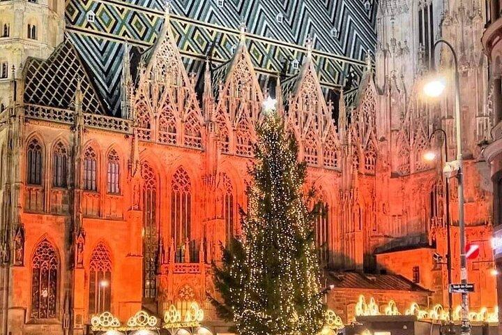 Fall in Love with Vienna in 3 Hours- Small Group