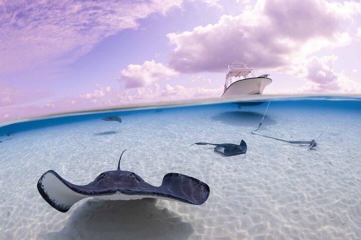 Cayman Adventure Stingrays Seestern plus Kristallhöhlen