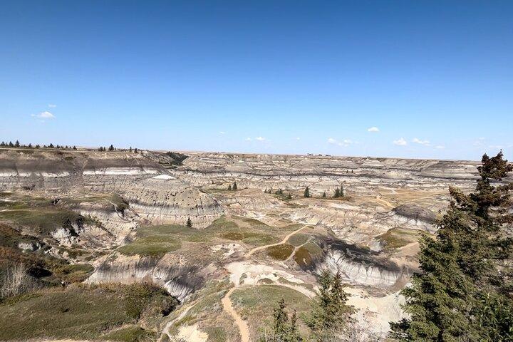 Drumheller : Visite privée du meilleur des Badlands et des dinosaures