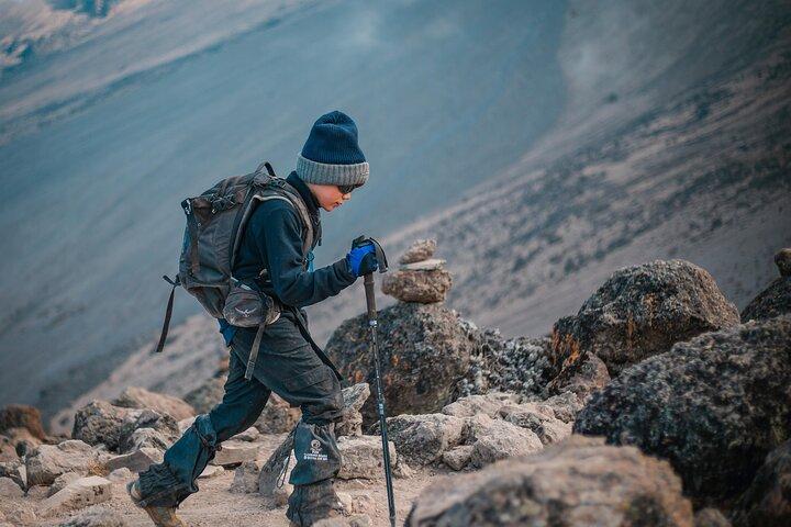 7 dage Machame rute - Kilimanjaro