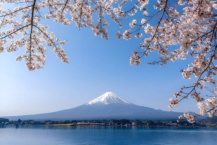 メルセデスベンツで富士山ラグジュアリーツアー|グリーンプレートカー