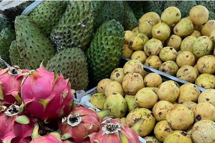 Taste Tropical Brazilian Fruits at a Market in Fortaleza