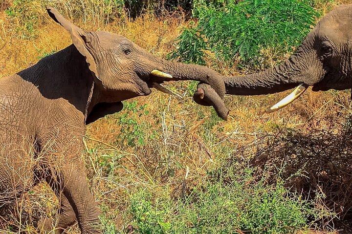 4 Day Adventures Tanzania