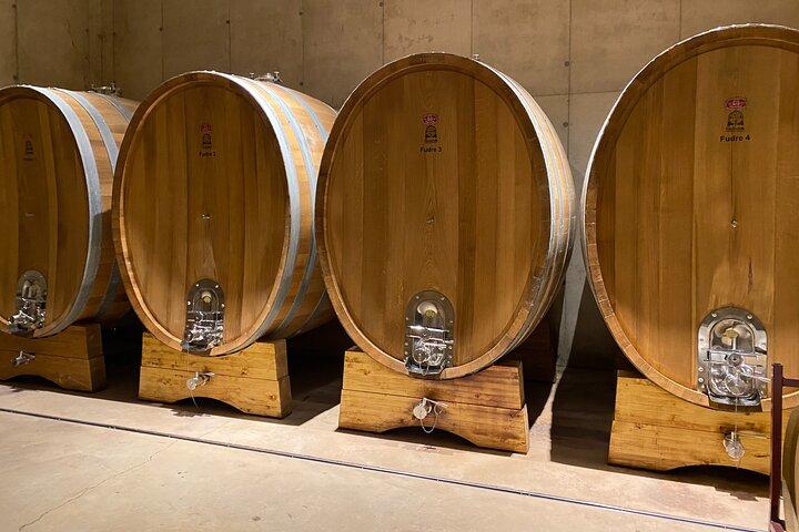 Full Day Privado Bodegas Requena Catas Premium