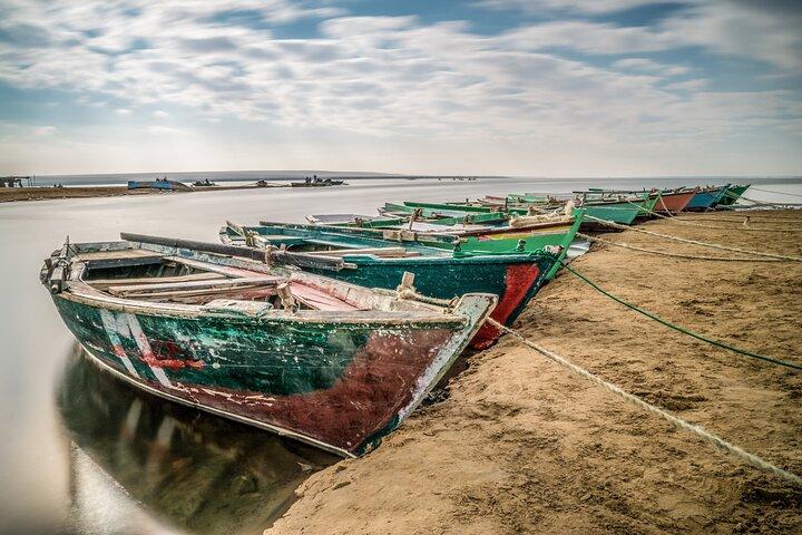Esplora Fayoum Un'affascinante gita di un giorno nell'oasi nascosta dell'Egitto
