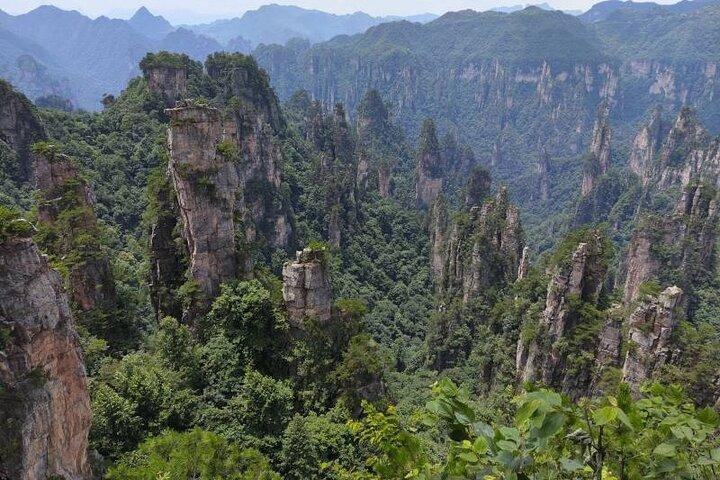 1 Day Avatar Mountain & Fores Park Group Tour with VIP Access