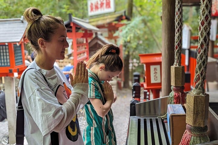 Full day Kyoto Walk in Fushimi, Arashiyama, Monkey, and Kinkakuji