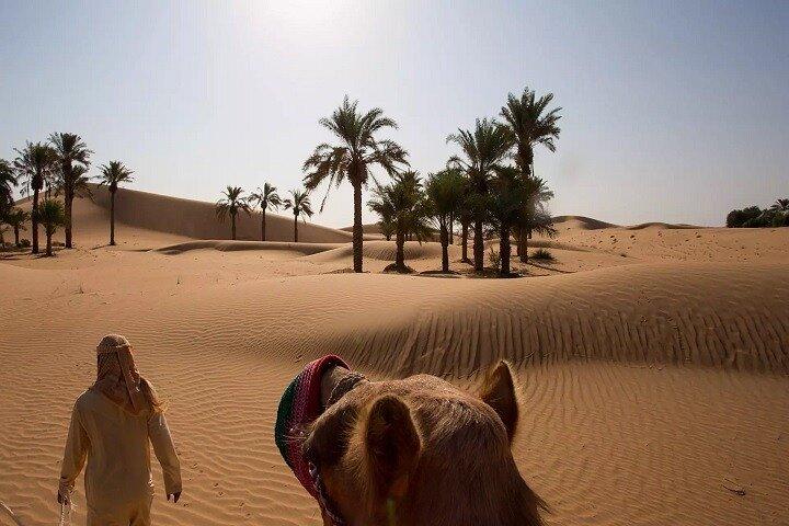Morgendliche Wüstensafari mit Red Dune Buggy und Kamelritt Dubai
