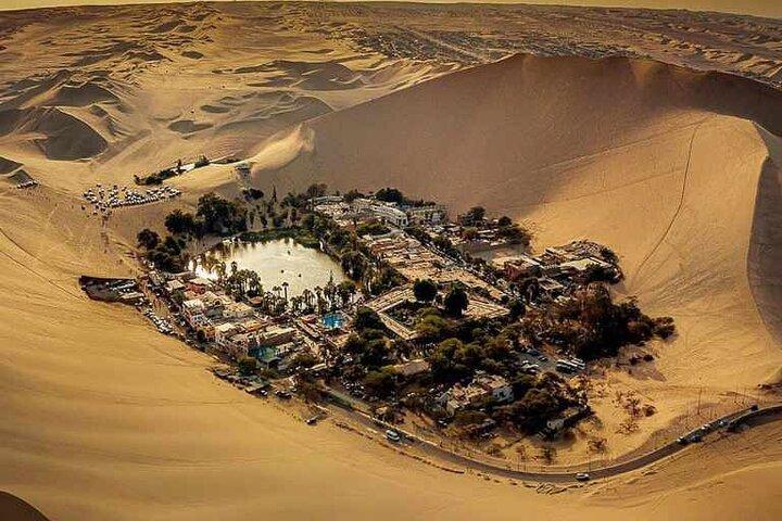 Excursion d'une journée complète à Ica Paracas et Huacachina au départ de Lima