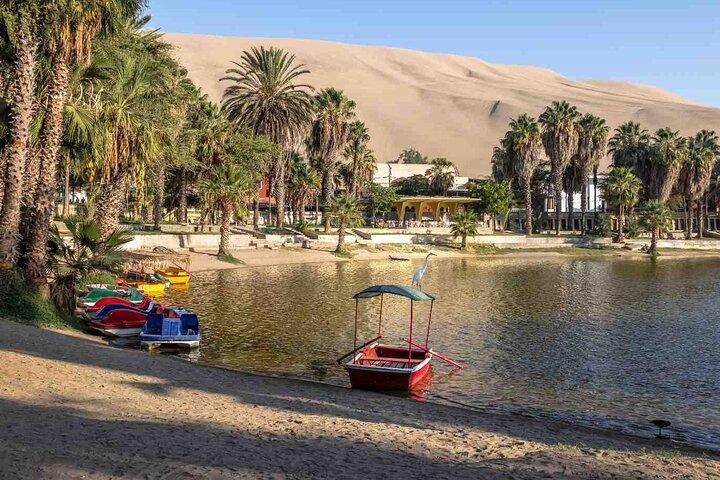 Excursion d'une journée complète à Ica Paracas et Huacachina au départ de Lima