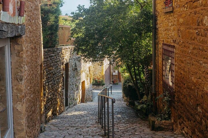 Golden stones Beaujolais Wine Tour with Tastings from Lyon