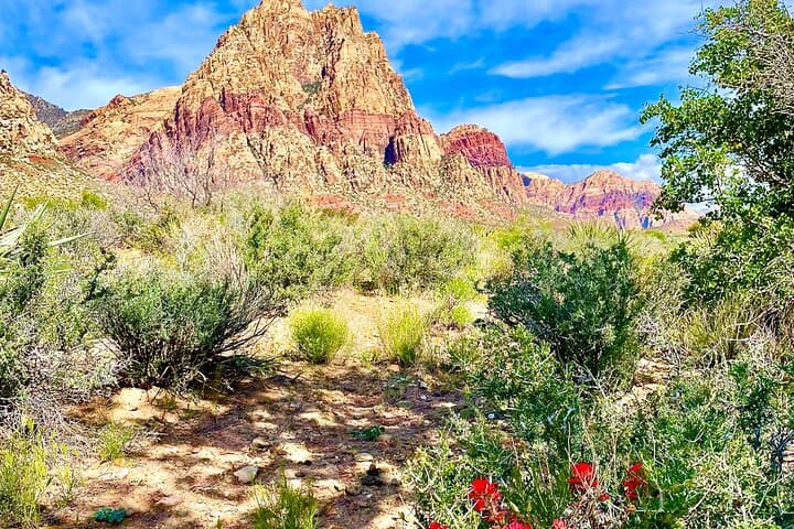 Award Winning Red Rock Canyon Tours