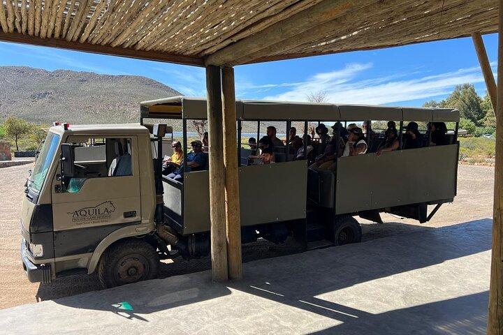 All-inclusive Big 5 Aquila Game Drive lille gruppe oplevelse