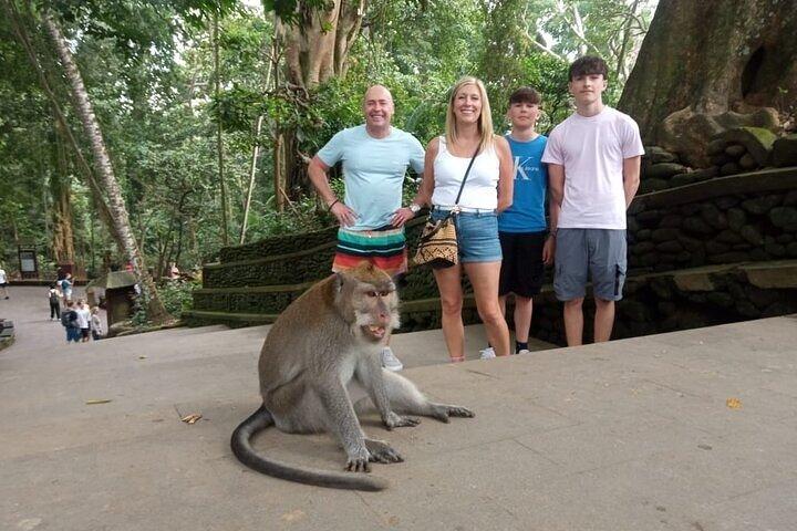 Ulu Petanu Waterfall Monkey Forest And Swing Private Guided Tour