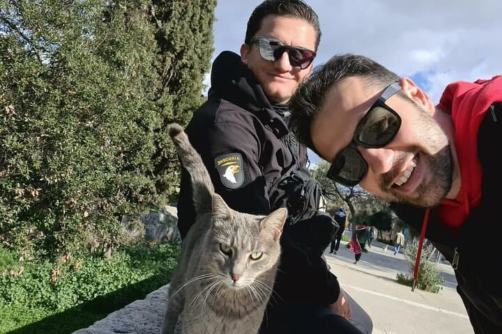 Meet the Cats of Acropolis and Thissio Private Tour