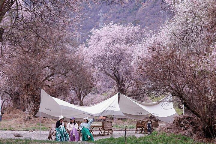 13 dage Nyingchi Peach Blossom Festival tur