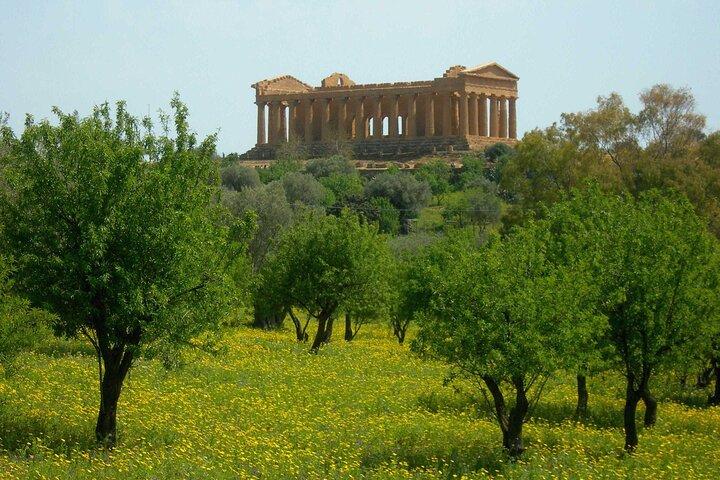 Agrigento Valle dei Templi Area Archeologica