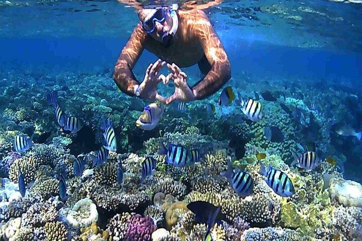 Ekstrem dagstur i hurghada 7×1
