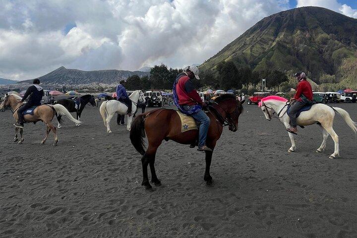 Mount Bromo Shared Sunrise Tour 1 day from Surabaya (sharing)