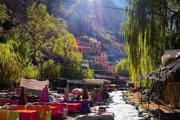 Day Trip to the Ourika Valley