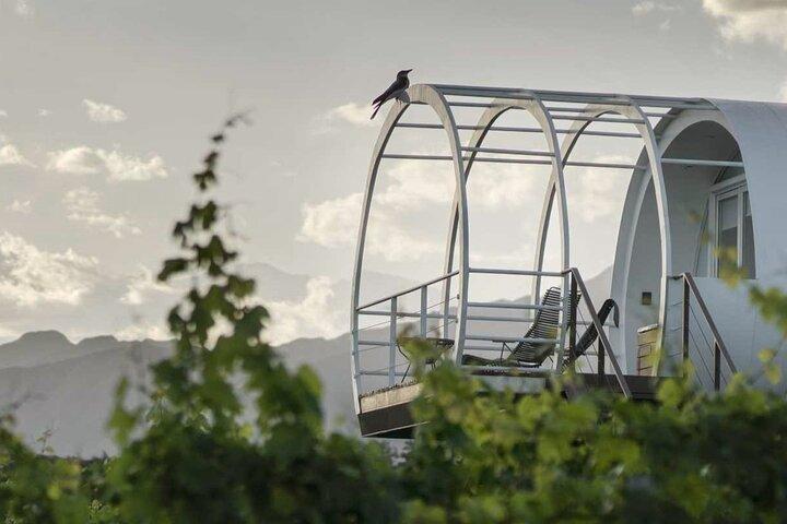 Vinho e bem-estar no Entre Cielos Spa Experience em Mendoza