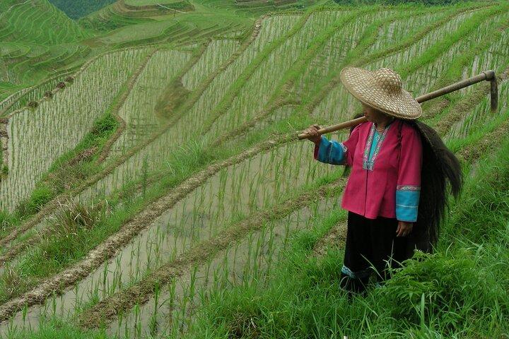 Private Tagestour von Guilin zu den Longji-Terrassen