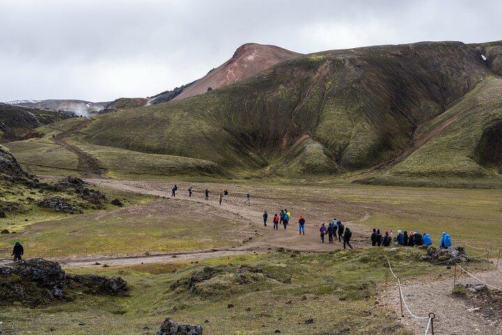 Lille gruppe Landmannalaugar Hike og Hot Springs: Reykjavik/Hella