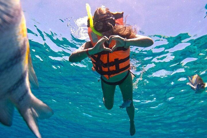 Crystal-clear Boat trip & Snorkeling tour
