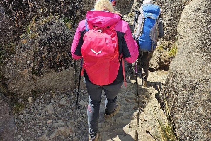 6 dagar Kilieconomy Safari Marangu Route