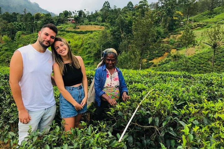Ultieme 8-daagse Sri Lanka avontuur: Privé rondleiding met gids