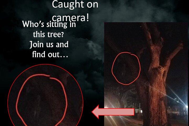 Hemsökt Saint Augustine En Paranormal Undersökning
