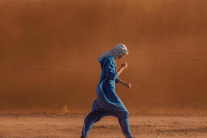 Ouarzazateから: 1泊2日ザゴラ砂漠からマラケシュに戻る