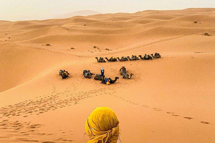 Ouarzazateから: 1泊2日ザゴラ砂漠からマラケシュに戻る