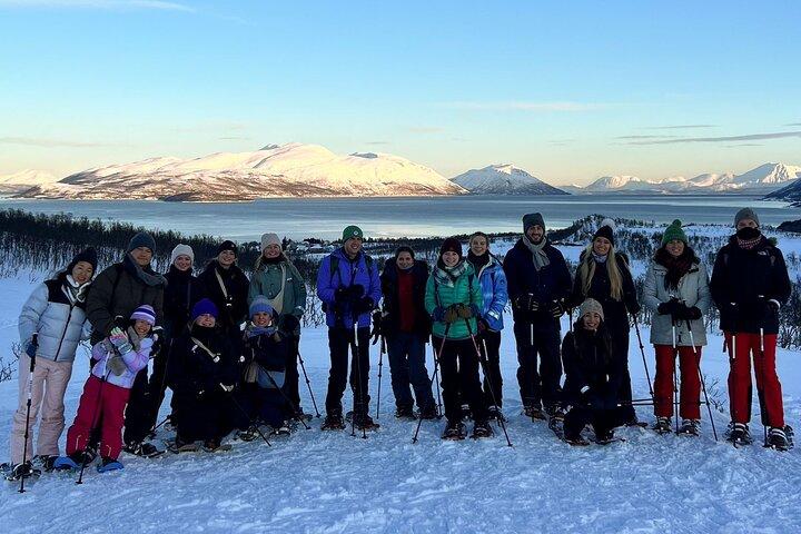 Tromso: Reindeer Feeding and Snowshoeing Tour with Lunch