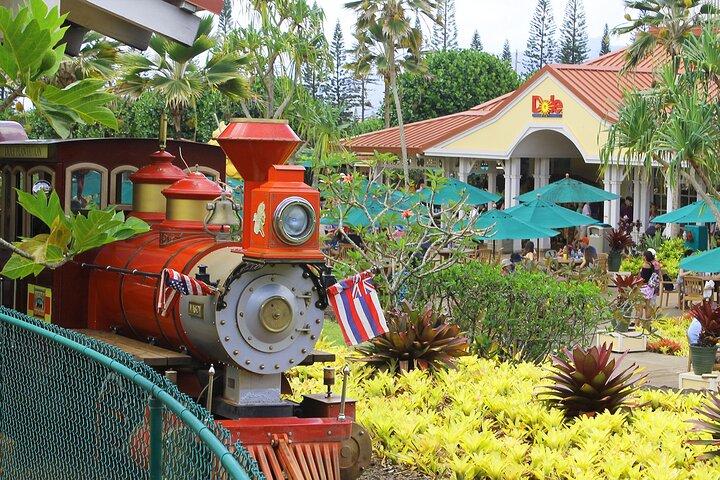 Oahu Circle Island Schnorcheltour : Dole, Pali Lookout & More