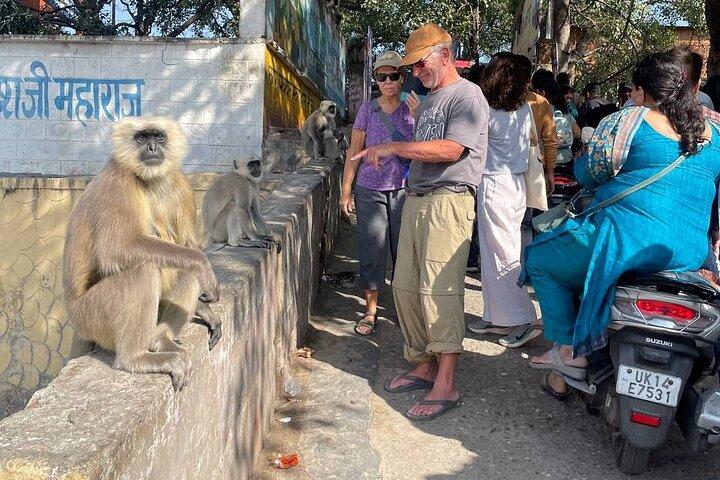 Visite de l'ashram à pied à Rishikesh (Visite privée)