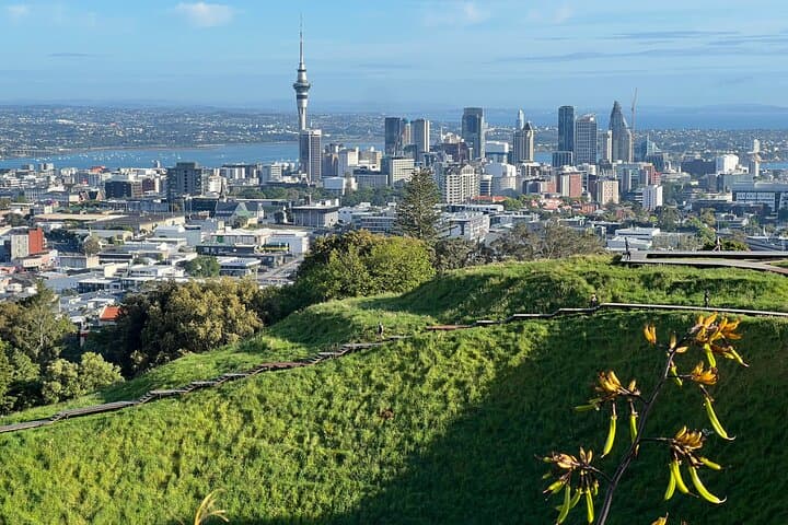 Half-Day AUCKLAND CITY Highlights Tour with Hotel Pickup