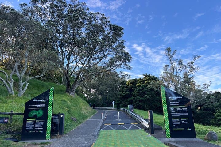Half-Day AUCKLAND CITY Highlights Tour with Hotel Pickup