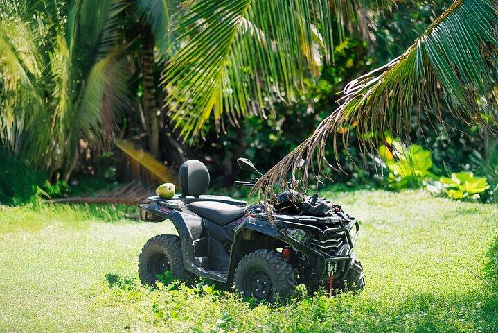 Lille gruppe eksklusiv 4x4 ATV Punta Cana: jungle & vilde strande!