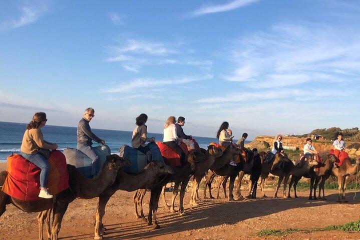 Vip Private Guided Tanger Tour fra Malaga / Marbella eller Tarifa